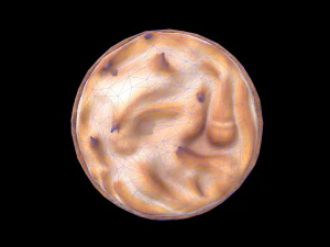 GrahamPie 3D Model