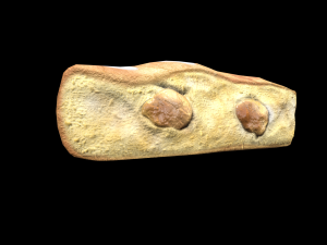 IcingTurnoverApple 3D Model