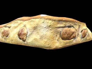 IcingTurnoverApple 3D Model