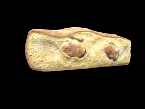 IcingTurnoverApple 3D Model