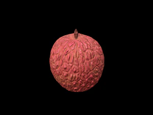 Litchi Modèle 3D