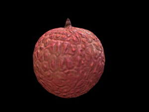 Lychee 3D Model