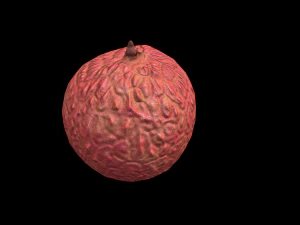 Lychee 3D Model