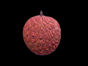 Lychee 3D Модель
