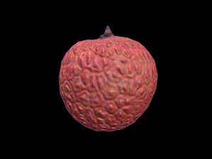 Lychee 3D Model