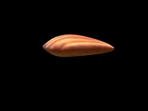 Madeleine Model 3D