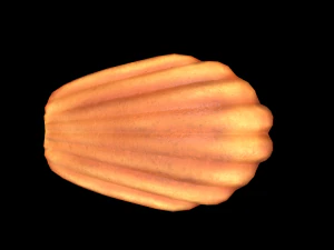 Madeleine Model 3D