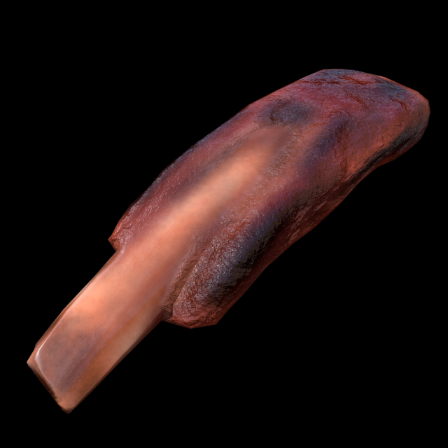 PorkRibsPiece Model 3D .c4d .max .obj .3ds .fbx .stl .blend 