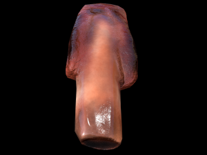 PorkRibsPiece Model 3D