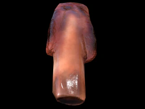 PorkRibsPiece 3D Model