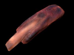 PorkRibsPiece Model 3D