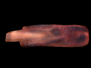 PorkRibsPiece Model 3D