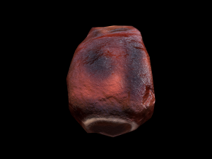 PorkRibsPiece Model 3D