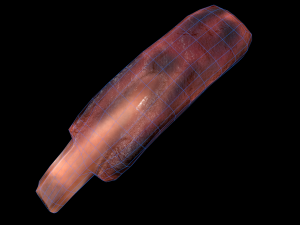 PorkRibsPiece Model 3D