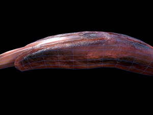 PorkRibsPiece Model 3D