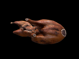 RabbitRoasting 3D Model