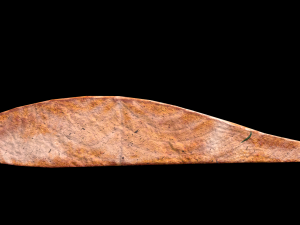 SalmonCaperSkillet Modèle 3D