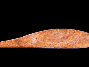 SalmonCaperSkillet Modèle 3D