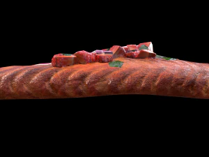 SaumonFraiseBasilic Modèle 3D