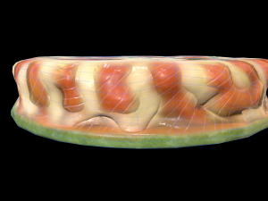 SalmonTartarCircle 3D 모델