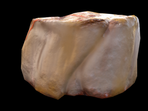 ScallopApplePure 3D Model