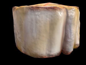 ScallopApplePure 3D Model