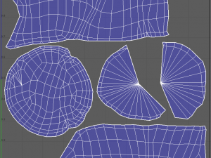 ScallopApplePure 3D Model