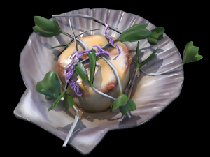 ScallopCitrusSprouts 3D Model