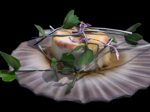 ScallopCitrusSprouts 3D Model