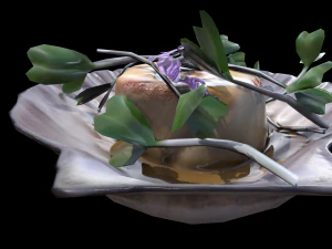 ScallopCitrusSprouts 3D Model