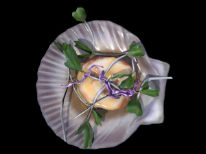 ScallopCitrusSprouts 3D Model