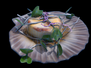 ScallopCitrusSprouts Model 3D