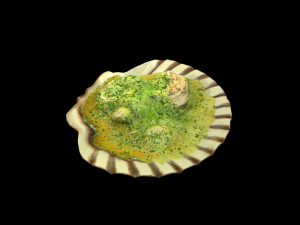 ScallopOil 3D 모델