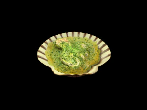 ScallopOil 3D Model
