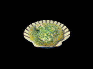 ScallopOil Model 3D