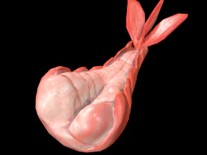 ScampiCodaBollita Modello 3D