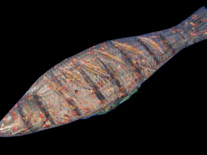 SeaBassCoriander 3D Model