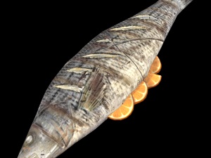 SeaBassOrangeButter 3D-Modell