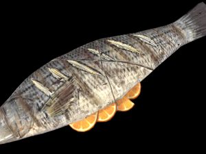 SeaBassOrangeButter Modèle 3D