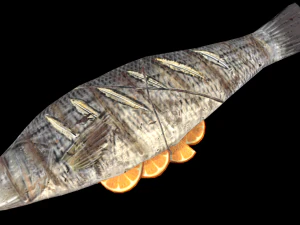 SeaBassOrangeButter 3D Model