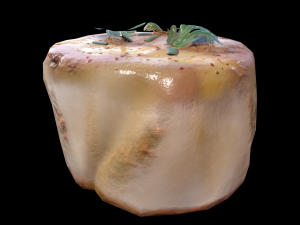 ScallopGarlic 3D Modell