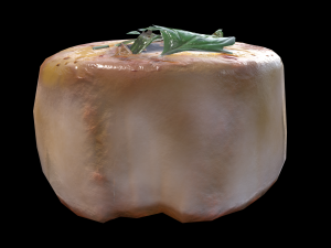 ScallopGarlic 3D Modell