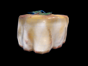 ScallopGarlic 3D Modell