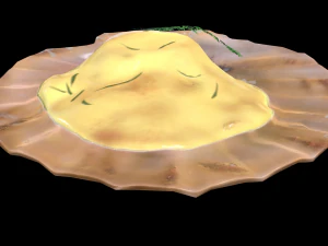 ScallopGratin 3D Model