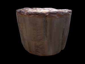 ScallopMushroom 3D Model