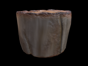 ScallopMushroom 3D Model