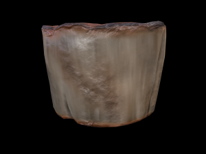 ScallopMushroom 3D Model