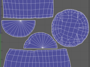 ScallopMushroom 3D Model