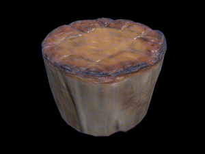 ScallopMushroom 3D Model