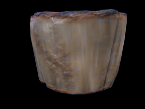 ScallopMushroom 3D Model